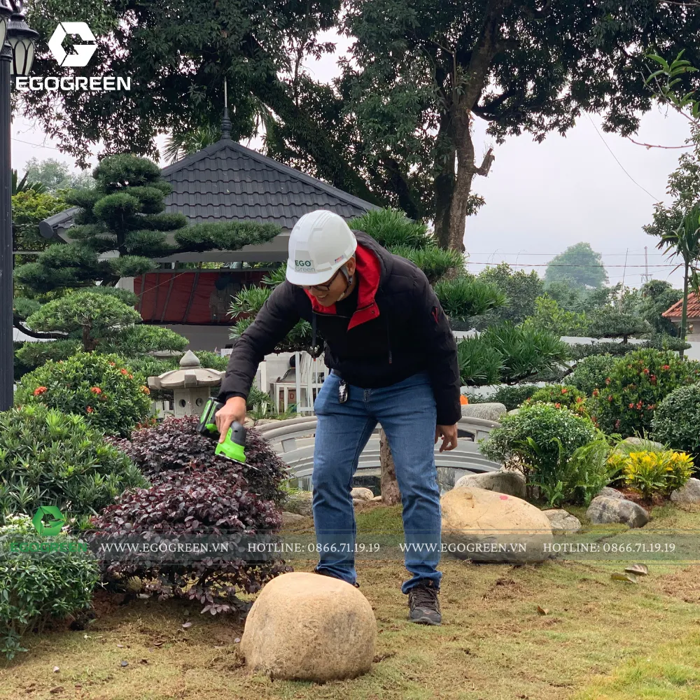 EGOGREEN cam kết đồng hành cùng chủ đầu tư sau khi hoàn thành cảnh quan.